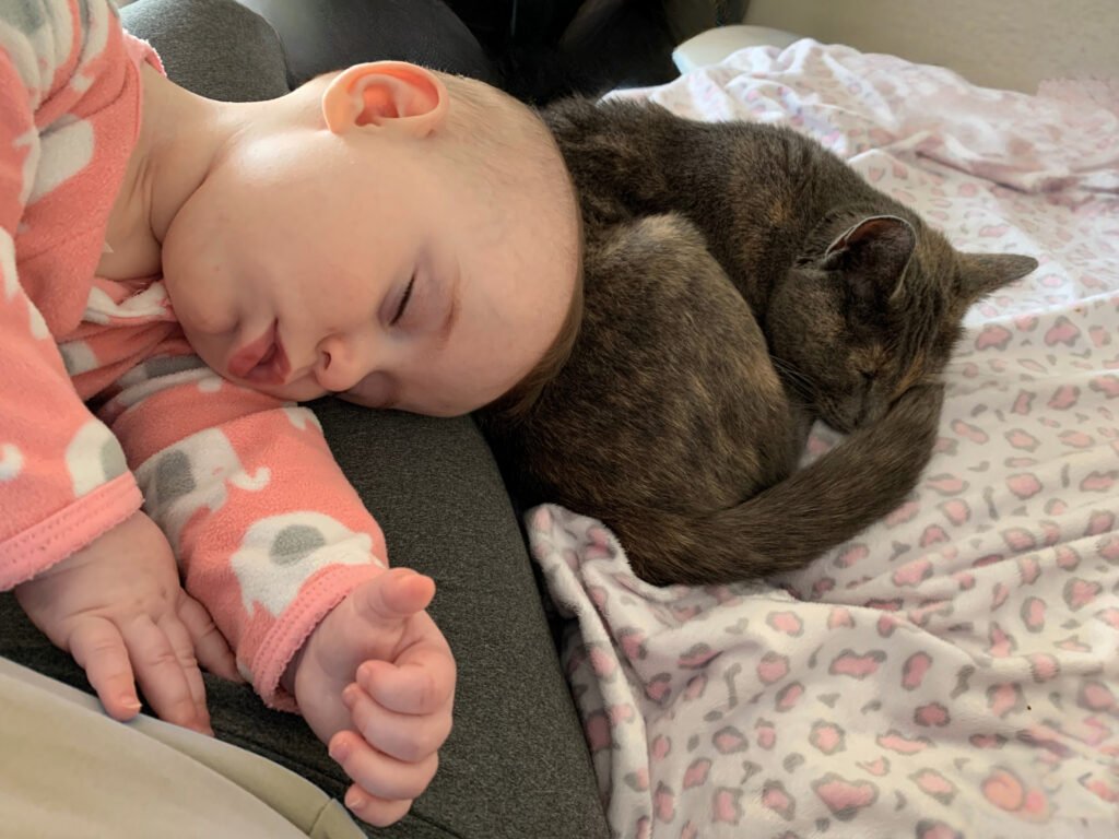 A baby and a cat sleeping together