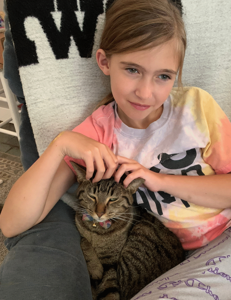 A young girl petting a tabby cat's head